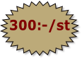 300:-/st
