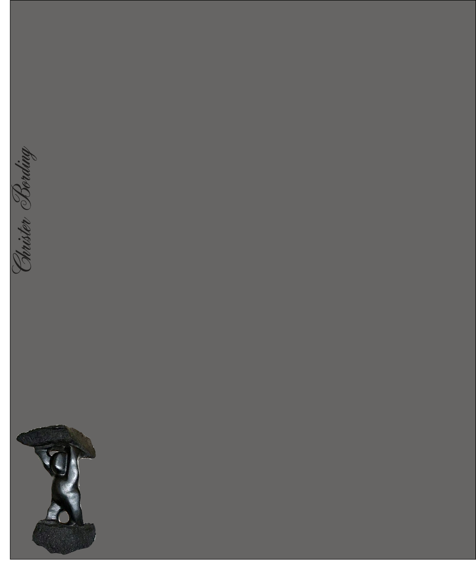 Christer Bording
