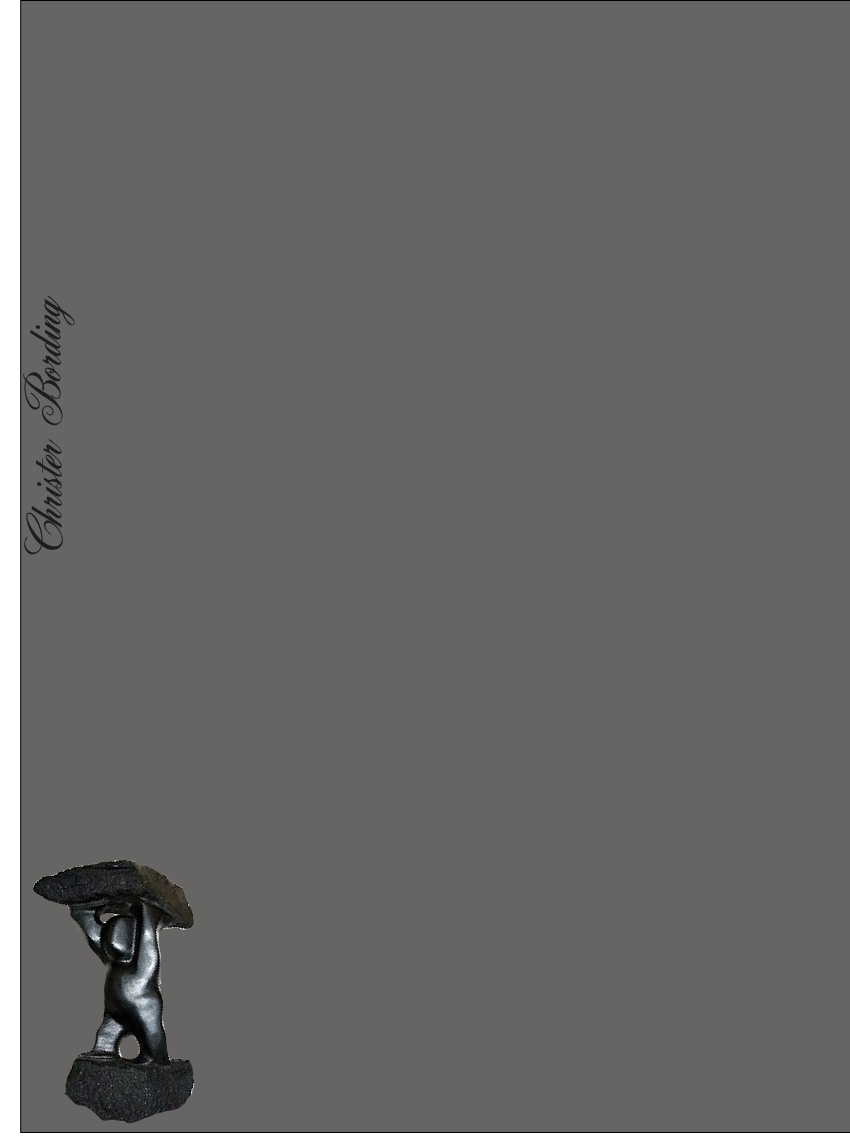 Christer Bording
